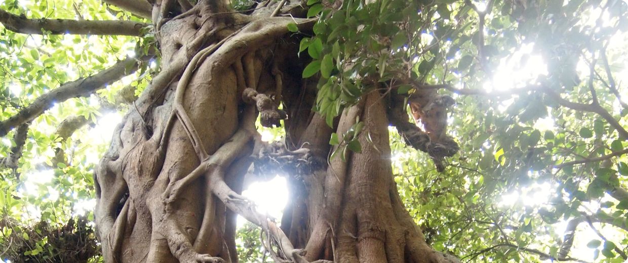 キャッチコピーが入ります。キャッチコピーが入ります。